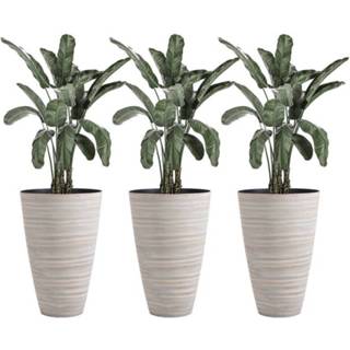 👉 Dag crème wit kunststof active Sunny Set van 3 bloempottenØ 46.5 cm hoogte 60 plantenpotten stevig 6095836674673