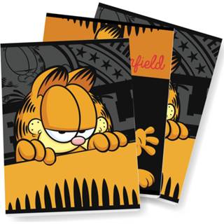 👉 Schrift active Garfield Schriften - A5 Set van 3 stuks 9789464322071