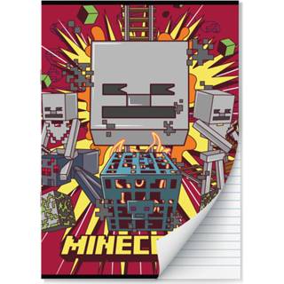 👉 Schrift active Minecraft Schriften lijntjes - A4 Set van 2 stuks 9789464321777