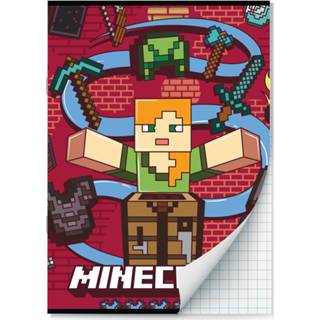 👉 Schrift active Minecraft Schriften ruitjes - A4 Set van 2 stuks 9789464321951