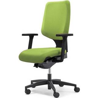 👉 Groen Giroflex 545-4529 -