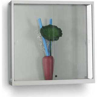 👉 Vitrinekast aluminium WMS100 Wandvitrine 98x100 cm -