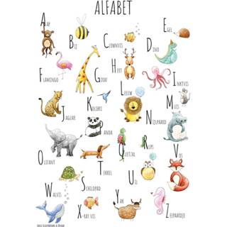 👉 Poster active Juulz - 50x70 cm. Alfabet 2500001480668