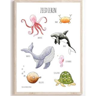 👉 Poster active Juulz - 21x30 cm. Zeedieren 2500001517548