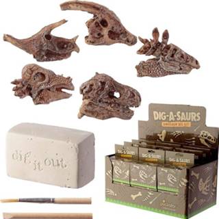 👉 Dino saurus hout Dinosaurus Schedel Opgraving set - 1 stuk