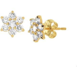 👉 Oorknop active Geelgouden Oorknoppen zirkonia halo 4019455 8718834643905