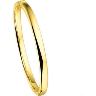 👉 Scharnier active Geelgouden Bangle vlakke buis 5 x 60 mm 4015890 8718834328123
