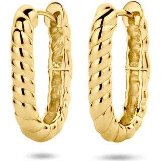 👉 Oorhanger zilver active Verguld Oorhangers 2102114 - Oorbellen 8718834733989