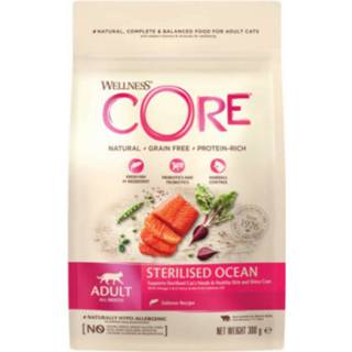 👉 Kattenvoer active 6x Wellness Core Sterilised Zalm 300 gr