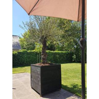 👉 Plantenbak Custom Made mannen Douglas Manou