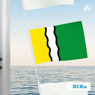 👉 Vlag active Vlaggetje Olst 20x30cm 7424956185117