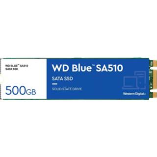 👉 Blauw WD Blue SA510 500GB M.2 718037884714