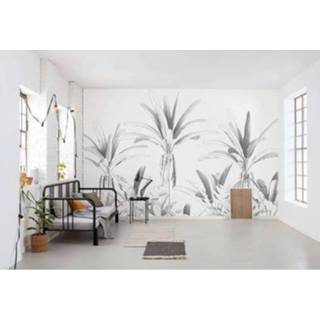 👉 Fotobehang zwart Komar Musa 400x280cm 4055065301377