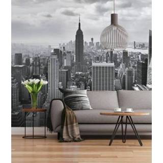 👉 Fotobehang zwart wit grijs Komar NYC Black and White 368x254cm 4036834083236