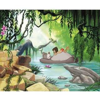 👉 Fotobehang meerkleurig Komar Jungle Book 368x254cm 4036834241063