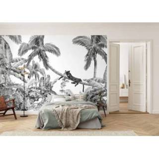 👉 Fotobehang zwart wit Komar Black Panther 350x250cm 4055065370052