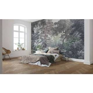 👉 Fotobehang grijs Komar Fairytale Forest 400x280cm 4055065301605