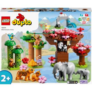 👉 LEGO DUPLO Wilde dieren van AziÃ« 10974