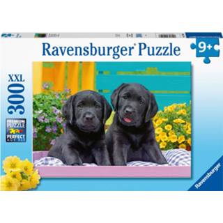 👉 Puzzel zwarte Ravensburger 300 stukjes labradors 4005556129508