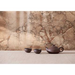 👉 Ragno Incanto tegel 75x75cm - Breccia Pernice mat 8010885349486