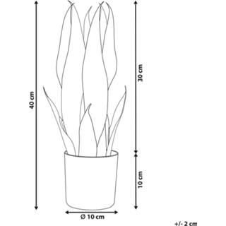 👉 Kunstplant groen 40 cm Dracaena SNAKE PLANT 4251682279659