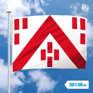 👉 Vlag active Deerlijk 200x300cm 7424949167151