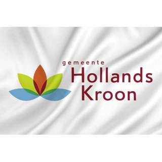 Vlag active Hollands Kroon 30x45cm 7424949071076