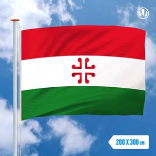 👉 Vlag active De Haan 200x300cm 7424951728784