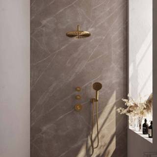 👉 Handdouche goud Regendoucheset Inbouw Brauer Gold Carving Thermostatisch 20cm met Gebogen Wandarm en 3-Standen Losse Stopkranen Geborsteld 8720359390813