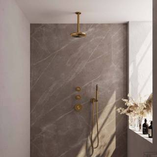 👉 Hand douche goud Regendoucheset Inbouw Brauer Gold Carving Thermostatisch 20cm met Plafondarm en Handdouche Staaf Losse Stopkranen Geborsteld 8720359390776