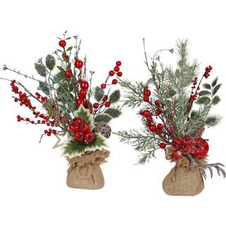 👉 Dennenappels rood groen Set van 2 miniboompjes IGEA Groen/Rood 4019844741907