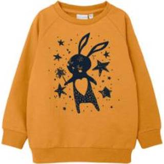 Name it Sweatshirt Nmfveda Amber Goud