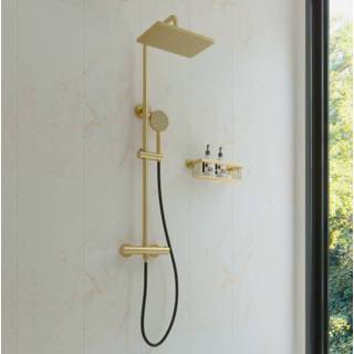 👉 Regendouche messing geborsteld goud opbouw rond pro vision rechthoek Saniclear met 20x30cm hoofddouche - mat 6096440793705