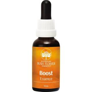 👉 Boost essence 9326922005031