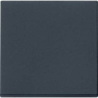 Drukknop zwart Gira E2 mat voor drukvlakschakelaar uit/wissel 0916005 4010337073598
