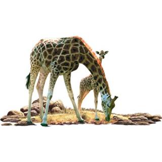 👉 Muursticker antraciet Giraf met jong 60 x 100 cm