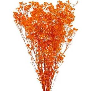 👉 Droogbloem oranje active Droogbloemen Gypsophila Orange 120 gram 4030673525964