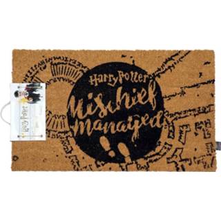 👉 Mannen SD Toys Harry Potter: Mischief Managed 60 x 40 cm Doormat 8435450233210