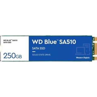 👉 Blauw WD Blue SA510 250 GB WDS250G3B0B, M.2 2280 718037884691