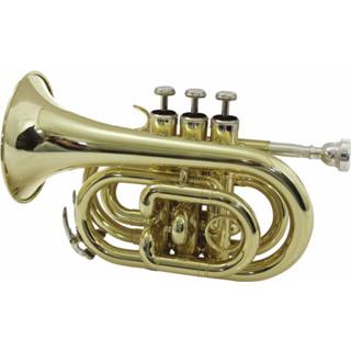 👉 Goud DIMAVERY TP-300 Bb Pocket Trumpet, gold 4026397273090