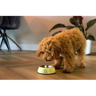 👉 Puppy voerbak geel Beeztees Kroky - 14x14x4,5 cm 8712695199113