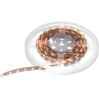 👉 EUROLITE LED Strip 600 5m 3528 2700+5700K 24V 4026397631234