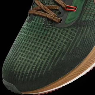 👉 Hardloopschoenen groen male men mannen Nike Air Zoom Pegasus 39 A.I.R. Hola Lou Hardloopschoen voor heren (straat) - 196149149073