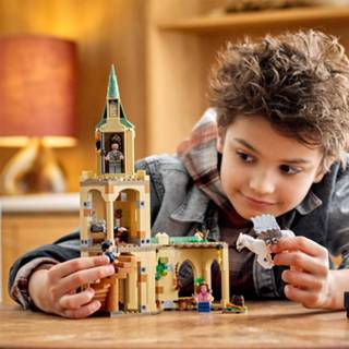 👉 Unisex LEGO Harry Potter: Hogwarts Courtyard Sirius's Rescue Set (76401) 5702017153421
