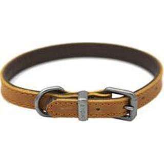 👉 51 Degrees North - Milano Collar Cognac 20 mm x 46 cm 5420065862675