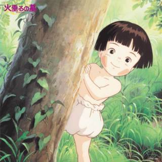 👉 Soundtrack vinyl Studio Ghibli Original Grave of the Fireflies Collection 4988008091113