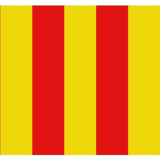 Vlag Messancy active 9290-9316 Vlag active Messancy 100x150cm 7424954945904