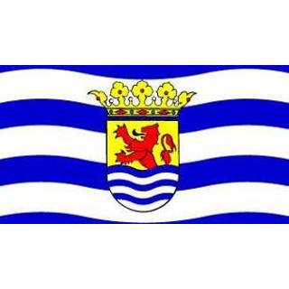 👉 Vlag active Zeeland 40x60cm 7430439257202
