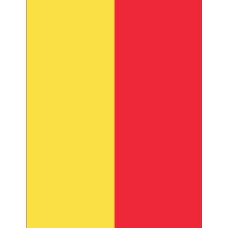 Auto sticker active Belgische vlag 7424953731744