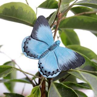 👉 Active FSC Hout DecoButterfly - Boomblauwtje 7350054761291 6736924246203